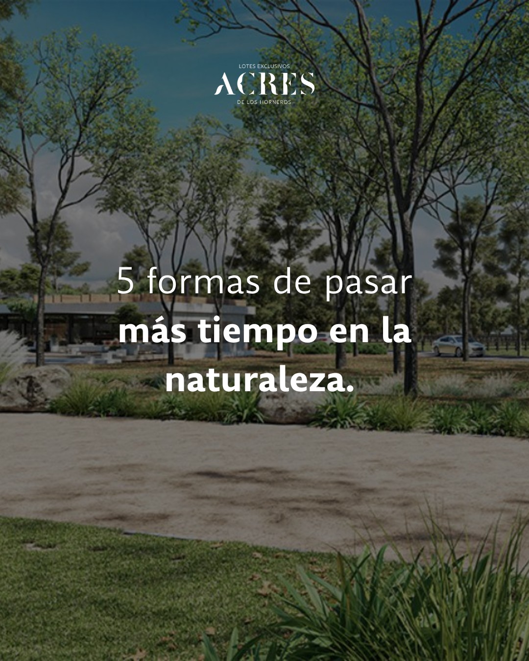 Pasar más tiempo en contacto con la naturaleza también cambia la forma en que vivimos el día a día. ✨🌳  En ACRES, los espacios verdes, el entorno tranquilo y las actividades al aire libre forman parte de una experiencia pensada para disfrutar con más calma, movimiento y conexión.