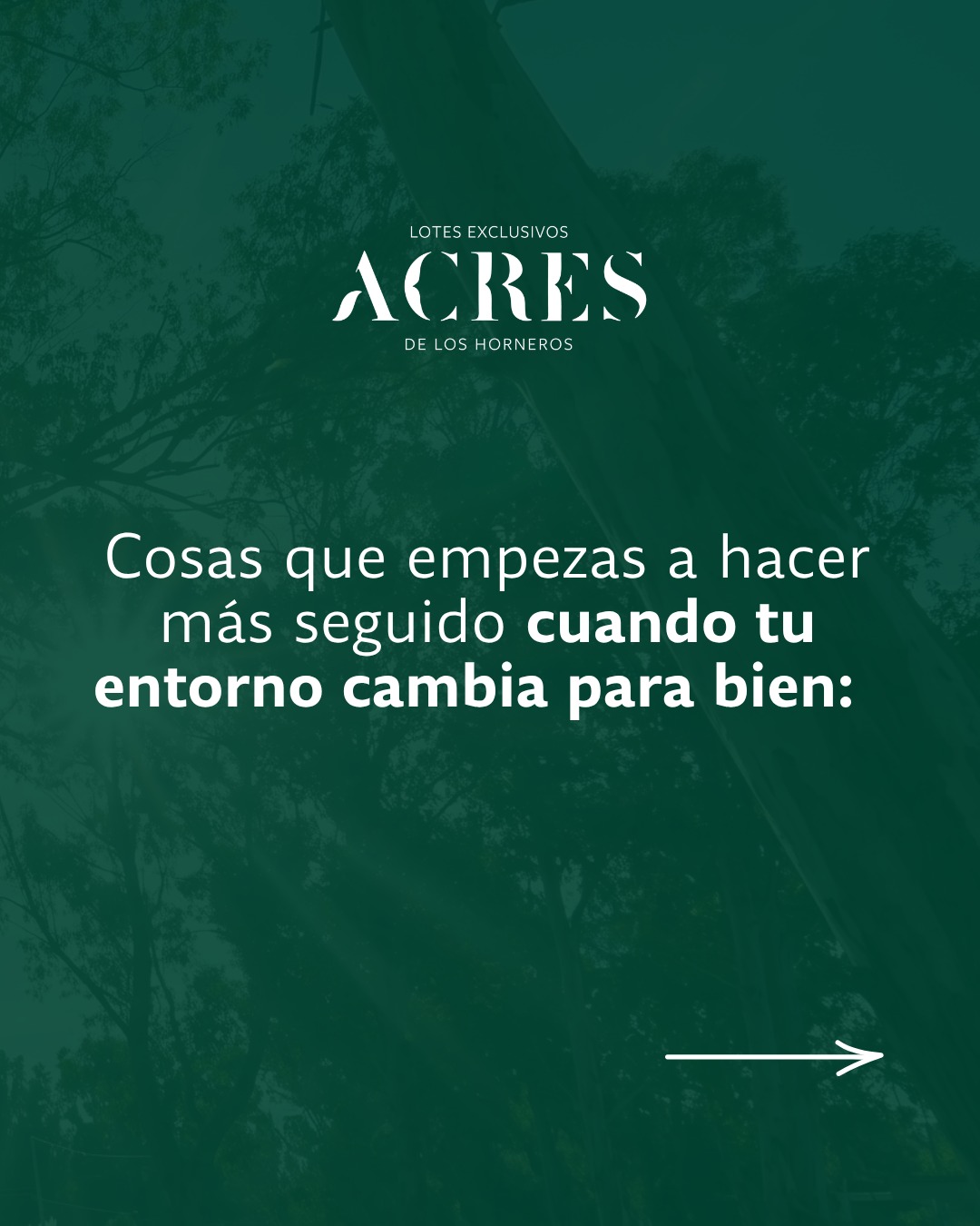 A veces, el entorno cambia pequeñas cosas de la rutina… y termina cambiando mucho más 🌿  En ACRES, los espacios verdes, el aire libre y la tranquilidad forman parte de la experiencia cotidiana.